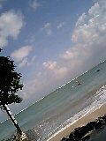 080506_1102~0002-0001.jpg