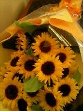 080805_2336~0001-0001.jpg