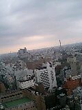 080806_0659~0001-0001.jpg