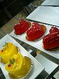080806_1245~0001-0001.jpg