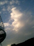 080813_0600~0001-0001.jpg