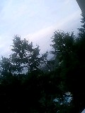 080813_0534~0002-0001.jpg