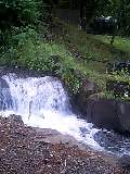 080813_0636~0001-0001.jpg