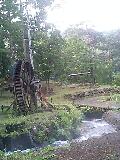 080813_0635~0001-0001.jpg
