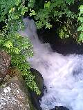 080813_0639~0001-0001.jpg