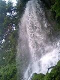 080813_0642~0002-0001.jpg