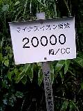 080813_0643~0001-0001.jpg