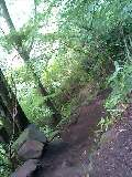 080813_0648~0001-0001.jpg