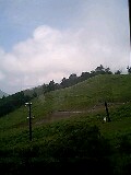 080813_1020~0001-0001.jpg