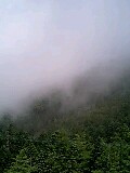 080813_1023~0001-0001.jpg