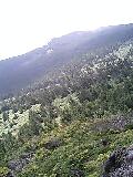080813_1041~0001-0001.jpg