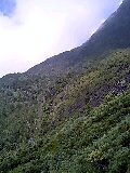 080813_1042~0001-0001.jpg