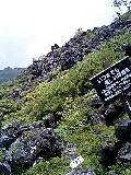 080813_1045~0001-0001.jpg