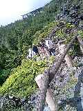080813_1052~0001-0001.jpg