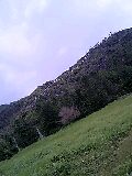 080813_1057~0002-0001.jpg
