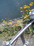 080813_1216~0003-0001.jpg