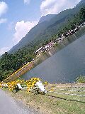 080813_1216~0002-0001.jpg