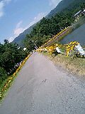 080813_1215~0001-0001.jpg