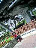 080815_1019~0001-0001.jpg