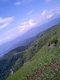 080815_1038~0001-0001.jpg
