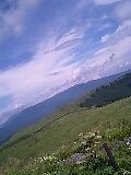 080815_1052~0001-0001.jpg