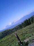 080816_0939~0001-0001.jpg