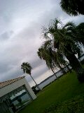 080921_1114~0001-0001.jpg