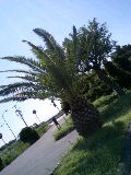 080922_1029~0001-0001.jpg