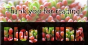 ¤Ë¤Û¤ó¥Ö¥í¥°Â¼ ²Ö¡¦±à·Ý¥Ö¥í¥° ¿Æù¿¢Êª¤Ø