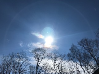 image1.JPG