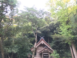 image2.jpeg