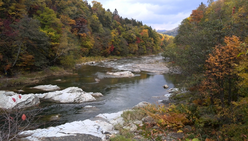 hokkaido_kouyou_0001.jpg