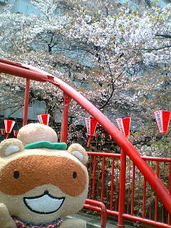 100411_1046~01.JPG
