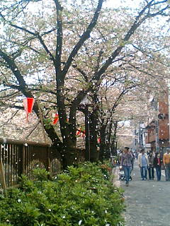 100411_1112~01.JPG