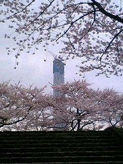100410_0913~01.JPG