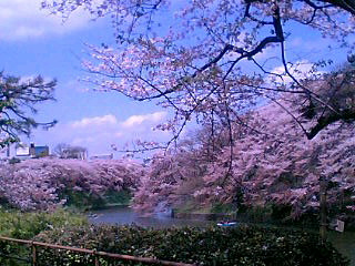 100410_1233~01001.JPG