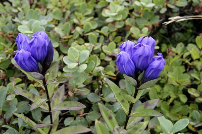 20120915019.jpg
