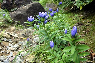 20120915021.jpg