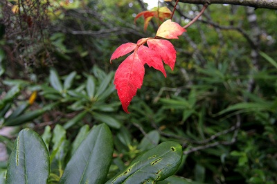 20120915023.jpg