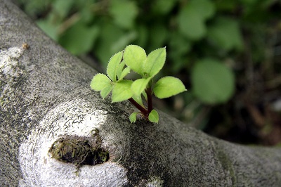 20120915024.jpg