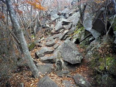 2012102702.jpg
