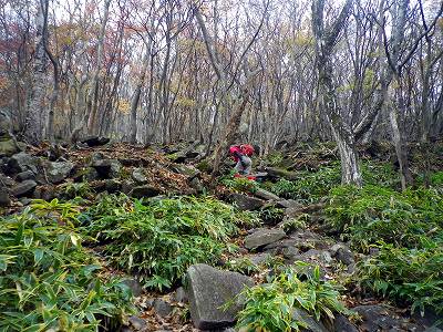 2012102704.jpg