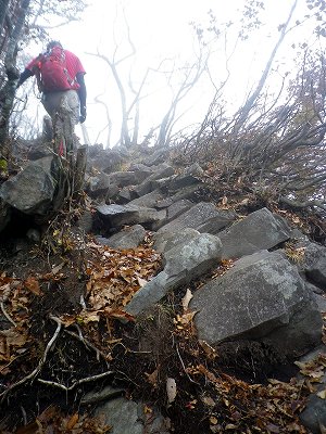 2012102705.jpg