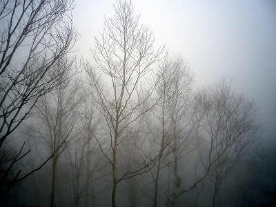 2012102708.jpg