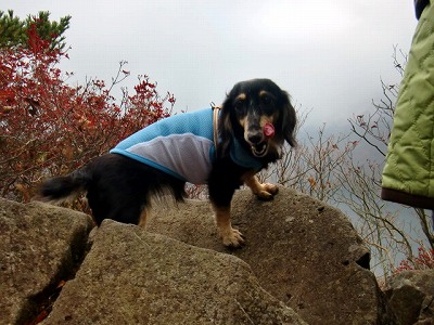 2012102710.jpg