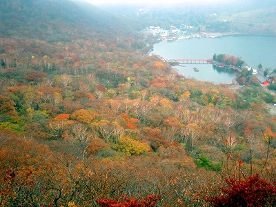 2012102711.jpg