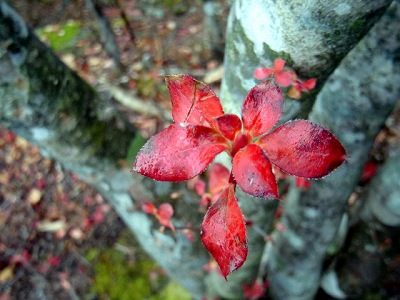 2012102712.jpg
