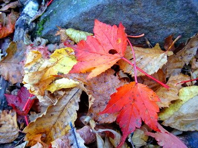 2012102713.jpg