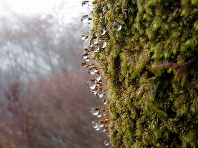 2012102715.jpg