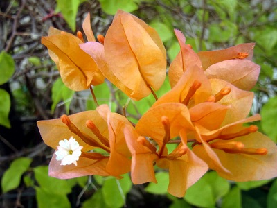 2012112614.jpg